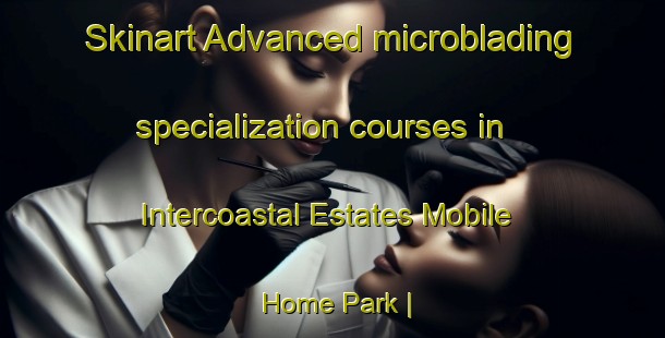 Skinart Advanced microblading specialization courses in Intercoastal Estates Mobile Home Park | MicrobladingTraining | MicrobladingClasses | SkinartTraining-United States